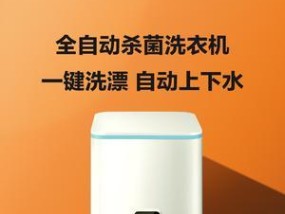 懒人快速清洗洗衣机的方法（省时又省力）