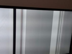 TCL电视出现白屏的原因及解决方法（探究TCL电视出现白屏的几大可能原因及解决方案）