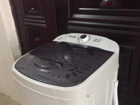 志高洗衣机显示E2故障处理方法（快速解决E2故障）