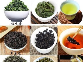 常喝黑茶的九大好处（探秘黑茶的神奇功效）