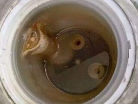 如何正确清洗饮水机吸管（轻松学会清洗方法）
