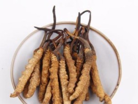 虫草的最佳储存方法（如何保存虫草的新鲜度与药效）