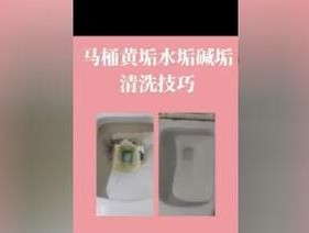 马桶发黄污渍去除小技巧（以箭牌马桶发黄怎么变白）