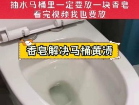 遇到肥皂堵住马桶（掌握小技巧）