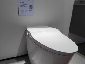 浪鲸智能马桶常见故障及维修方法（探索浪鲸智能马桶的故障原因及解决方案）