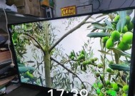 液晶电视黑屏了怎么办？常见原因及解决方法是什么？