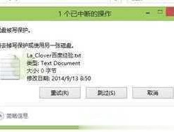 解除U盘写保护的有效方法（探索U盘写保护解决方案）