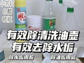 用白醋清洗抽油烟机的终极方法（揭秘白醋清洗抽油烟机的神奇效果）