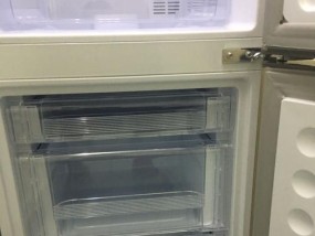 掌握冰箱速冻技巧，调温度如此轻松（通过合理设置温度）