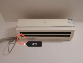 AEA移动空调滴水问题分析与维修方法（探究滴水原因）
