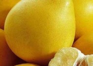 秋季水果大全——丰富多样的秋日滋养（品尝天赐的果实）