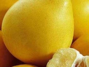 秋季水果大全——丰富多样的秋日滋养（品尝天赐的果实）