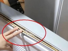 冰箱门发霉发黑怎么清洗（轻松清洁冰箱门）