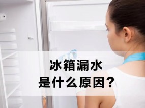 冰箱漏电是什么原因引起的呢？如何快速排查和解决？