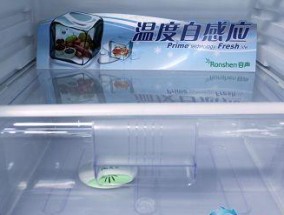 容声冰箱电源清洗方法（轻松解决冰箱电源问题）