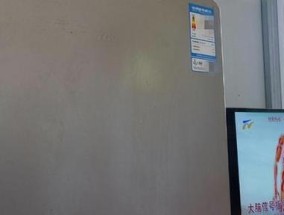 冰箱为什么会出现异常响声（解析冰箱异常响声的原因及解决方法）
