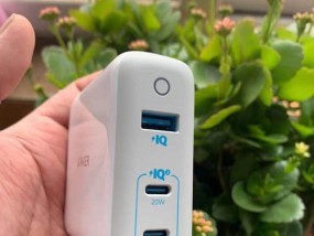如何辨别真假苹果快充头（苹果快充头的关键特征和辨别方法）