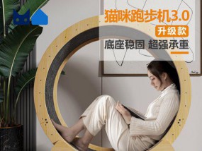 猫跑步机脱轨的故障处理方法（保证猫咪安全运动的关键措施）