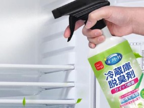 电冰箱清洗与除味攻略（有效清洁电冰箱）