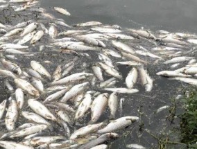 饮水机投毒事件频发？原因是什么？如何预防？