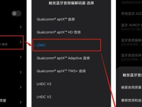 Oppo手机开发者选项的全面指南（轻松学会打开Oppo手机的开发者选项）
