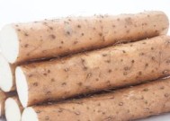 提高免疫力的三种食物（以食补免疫）