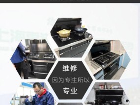 集成灶电插头跳闸的原因及解决方法（揭秘集成灶电插头跳闸的真相及常见故障排除方法）