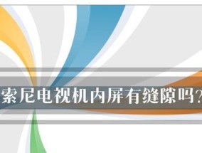 电视没有声音的原因及解决方法（探究电视无声的原因）