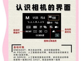手机拍照新手指南？如何快速上手拍照技巧？