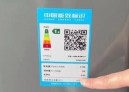 小天鹅洗衣机E10故障原因及解决方法（小天鹅洗衣机E10错误代码意义和操作技巧）