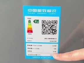 小天鹅洗衣机E10故障原因及解决方法（小天鹅洗衣机E10错误代码意义和操作技巧）