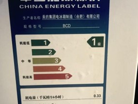 冰箱耗电量的关键参数及如何选择节能冰箱（深入解析冰箱的功率、能效等关键参数）