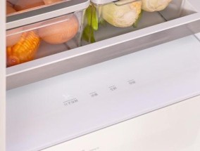 冰柜冷气的有效利用方法（让冰柜更加省电）