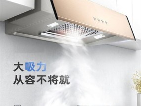 如何清洗电机，让老板抽油烟机更持久（老板抽油烟机电机清洗教程）