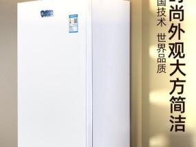 紫荆壁挂炉故障解决方法（维修、清洁、调试）