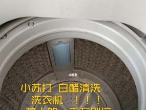 如何正确清洁洗衣机（细致步骤帮你轻松保持洗衣机的洁净）