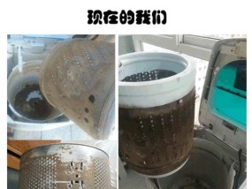洗衣机橡胶圈发霉处理方法（如何有效清除洗衣机橡胶圈上的霉菌）