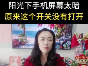 手机亮度暗无法看清屏幕怎么办？
