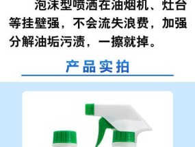 抽油烟机转轮结构清洗指南（有效清洁转轮保障烟机工作效果）