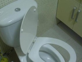 马桶漏水原因及解决方法（揭秘马桶漏水的各种原因）