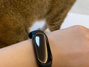 小米手环如何与iPhone连接（详解小米手环与iPhone连接的步骤及注意事项）