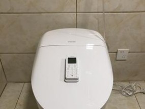 什么东西能最有效地堵住法恩莎马桶（探索堵住法恩莎马桶的最强武器）