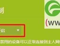 WiFi满格却无法上网的解决方法（网络连接问题困扰你）