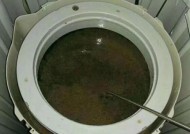 神农架洗衣机清洗方法详解（彻底清除洗衣机内的细菌）