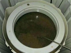 神农架洗衣机清洗方法详解（彻底清除洗衣机内的细菌）