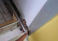 饮水机发现蟑螂怎么办？有效清理方法有哪些？