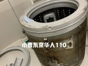 洗衣机清洗频率与方法（了解正确的洗衣机清洗方式）