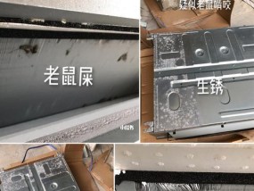 老鼠跑进中央空调怎么办？如何有效处理？