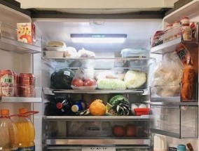 冰箱异味去除大全（快速去除冰箱异味的小妙招）