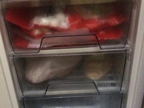 冰柜绿灯不亮红灯亮的修理方法（解决冰柜绿灯不亮红灯亮的实用技巧）